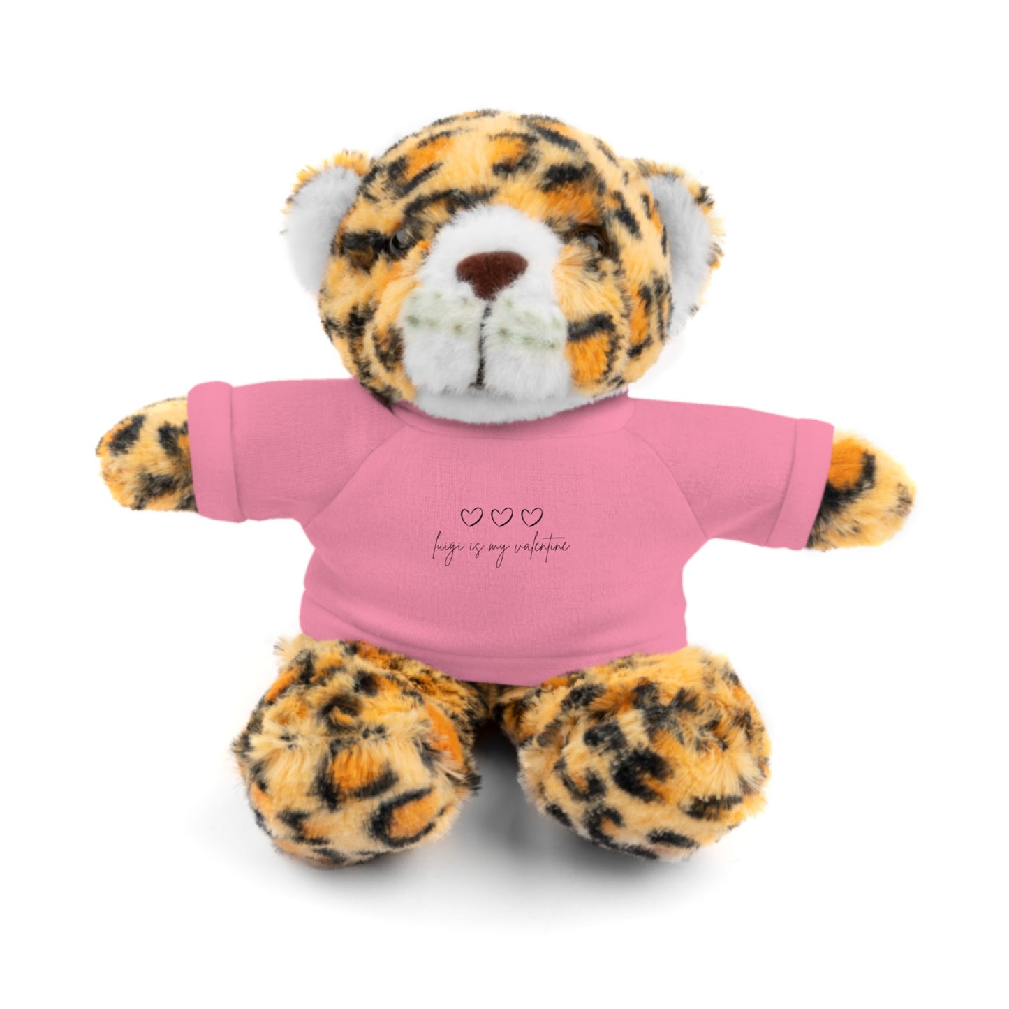 Valentine Stuffed Animals with Tee