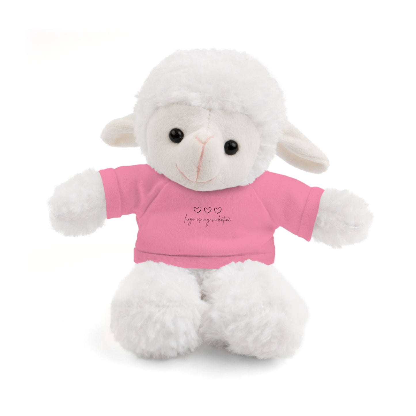 Valentine Stuffed Animals with Tee