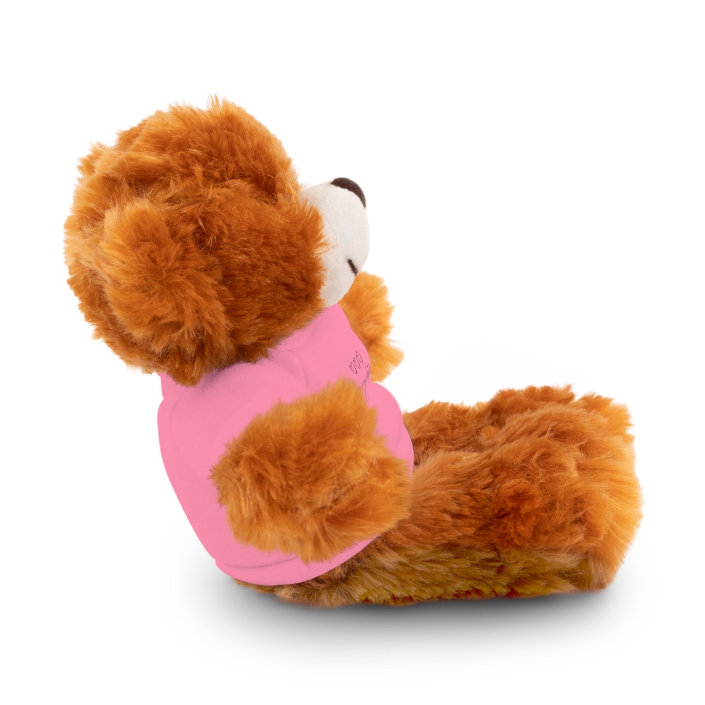 Valentine Stuffed Animals with Tee