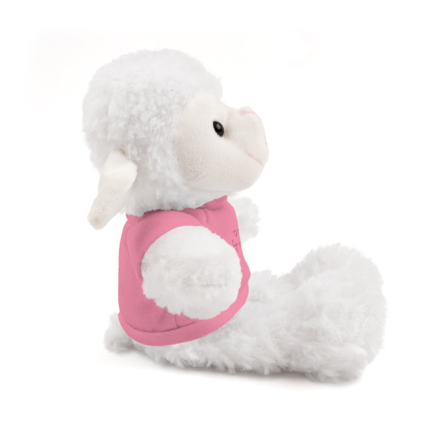 Valentine Stuffed Animals with Tee